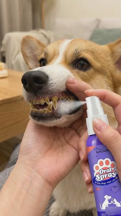 Teeth Cleaning Spray For Dogs