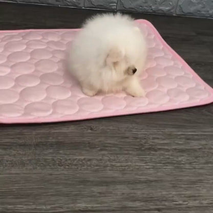 Pet Ice Mat Summer Pet Mat Dog