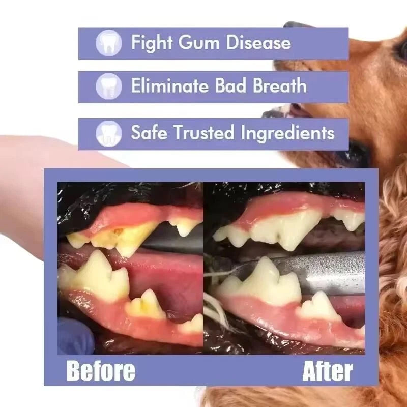 Teeth Cleaning Spray For Dogs